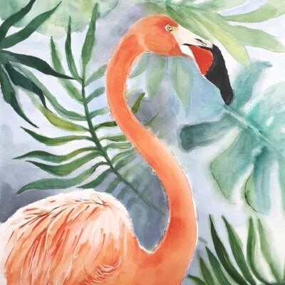 ציור פלמינגו-תקריב-אנה רדיס