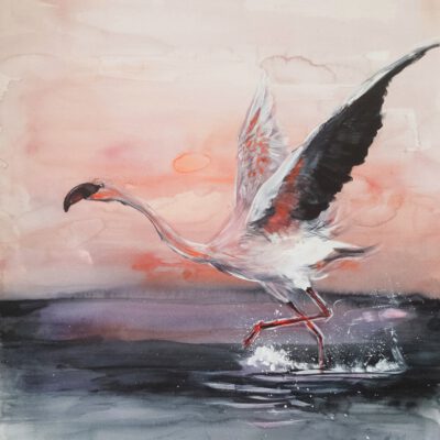 ציור מקורי-פלמינגו תקווה-ציור פלמינגו-צבעי מים-אנה רדיס ANNA RADIS ART