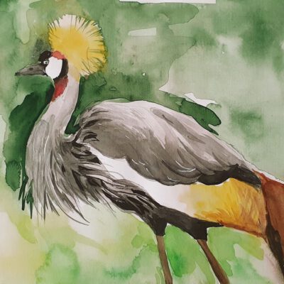 ציור מקורי ציפור עגור-ציור צבעי מים-ציור אקוורל-ציורים עבודת יד-אמנות מקורית-אמנים ישראלים-ציורי ציפורים-אנה רדיס-ANNA RADIS ART