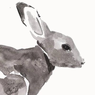 ארנב ציורי בעלי חיים ציורי חיות שחור לבן אמנות ישראלית אמנות ציור ציורים ציור מקורי אנה רדיס anna radis