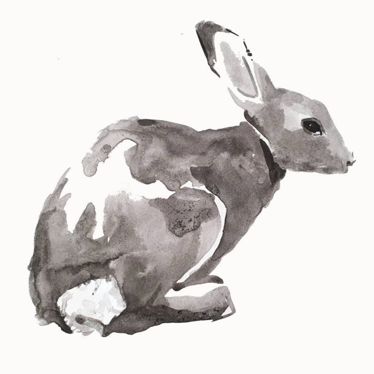 ארנב ציורי בעלי חיים ציורי חיות שחור לבן אמנים יראלים אמנות ציור ציורים ציור מקורי אנה רדיס anna radis