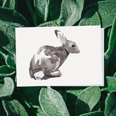 ארנב ציורי בעלי חיים ציורי חיות שחור לבן מינימליסטי אמנות ציור ציורים ציור מקורי אנה רדיס anna radis