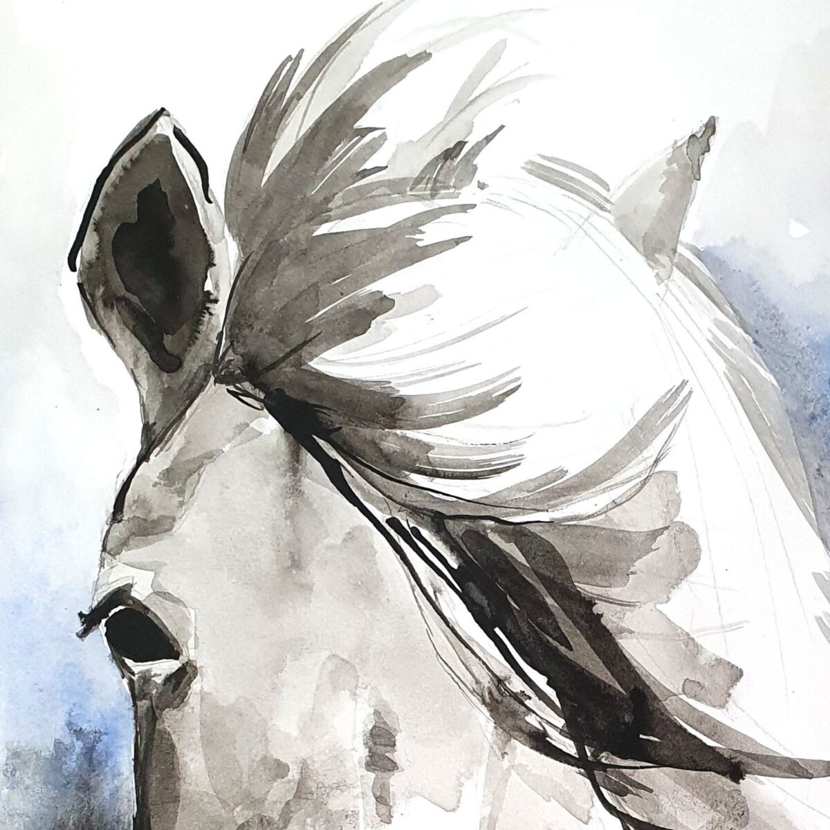סוס אצילי ציור מקורי ציור בעלי חיים ציורי חיות אמנות אמנים גלריה לאמנות צבעי מים אקוורל אנה רדיס anna radis
