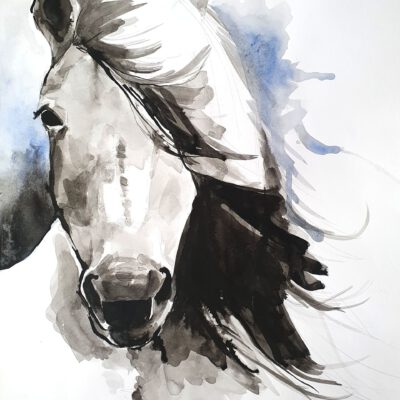 סוס אצילי ציורים ציור בעלי חיים ציורי חיות אמנות אמנים גלריה לאמנות צבעי מים אקוורל אנה רדיס anna radis