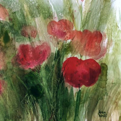 ציור פריחת הפרגים שדה פרגים אמנות ציורים ציורי פרחים צבעי מים אקוורל גלריה לאמנות אנה רדיס anna radis