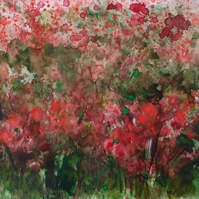 ציור שדה פרגים אדומים ציורים אמנות מקורית ציורי פרחים צבעי מים אקוורל גלריה לאמנות אנה רדיס anna radis