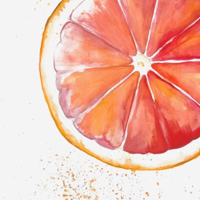 תפוז-ציור פרי-ציורי פירות-אמנות למטבח-ציור מינימליסטי-ציורים לבית-אמנות ישראלית מקורית-אנה רדיס-ANNA RADIS ART